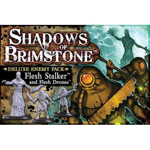 Shadows of Brimstone - Flesh Stalker & Drones