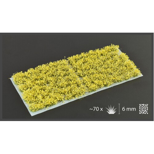 Gamers Grass Yellow Flowers (Wild)