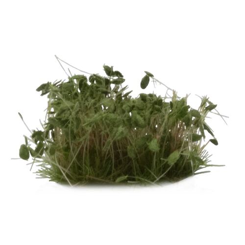 Gamers Grass Dark Green Shrubs (Wild)