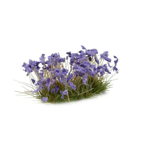 Gamers Grass Violet Flowers (Wild)