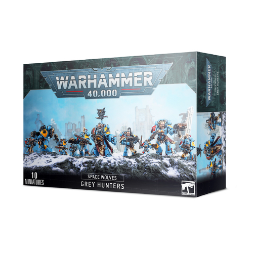 Space Wolves Grey Hunters 2020