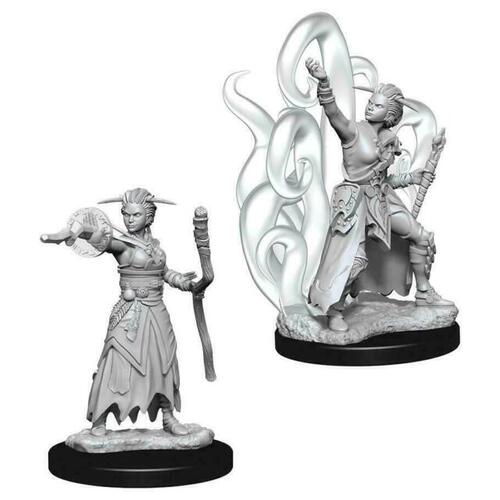 D&D Nolzurs Marvelous Unpainted Miniatures Female Human Warlock