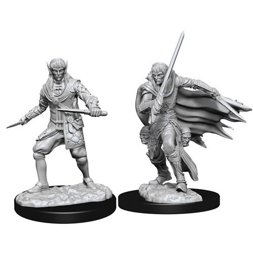 D&D Nolzurs Marvelous Unpainted Miniatures Male Elf Rogue