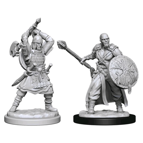 D&D Nolzurs Marvelous Unpainted Miniatures Human Barbarian Male