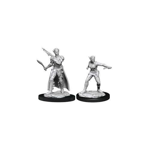 WizKids Deep Cuts Unpainted Miniatures Shifter Female Rogue