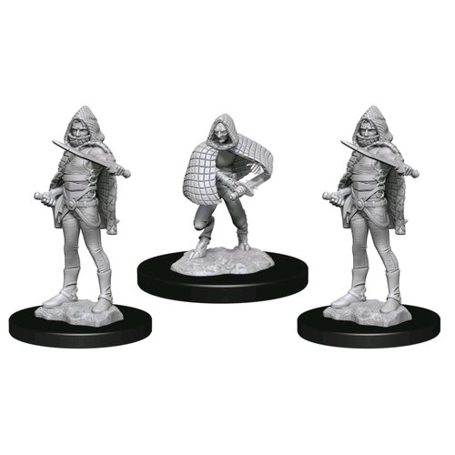 D&D Nolzurs Marvelous Unpainted Miniatures Darkling Elder & Darklings