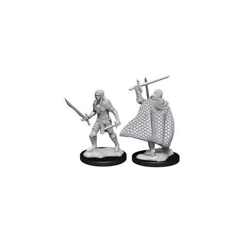 D&D Nolzurs Marvelous Unpainted Miniatures Elf Fighter Male