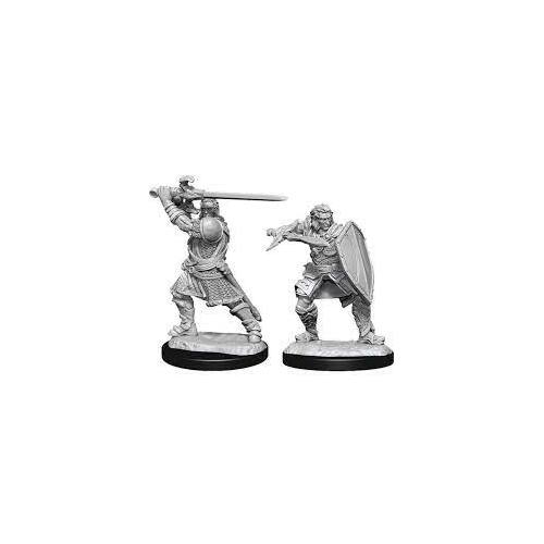 D&D Nolzurs Marvelous Unpainted Miniatures Human Paladin Male