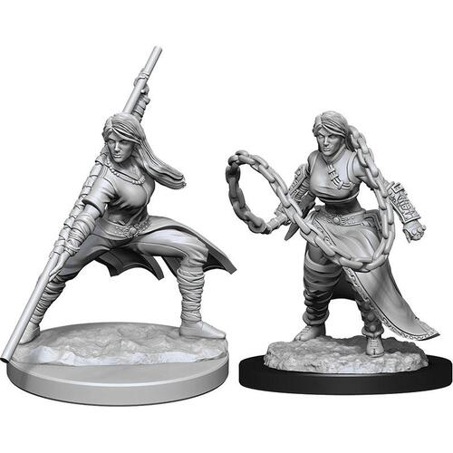 D&D Nolzurs Marvelous Unpainted Miniatures Human Monk Female