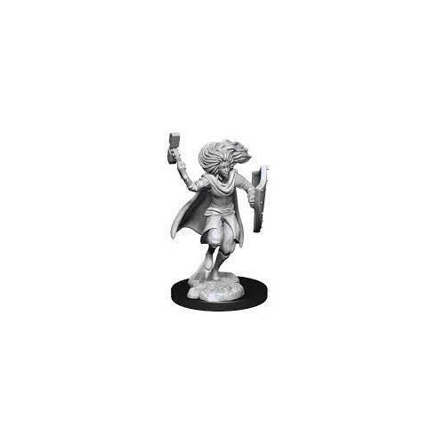 D&D Nolzurs Marvelous Unpainted Miniatures Changeling Cleric