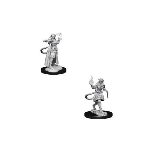 D&D Nolzurs Marvelous Unpainted Miniatures Tiefling Sorcerer Female